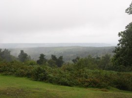 View towards the North Downs from Leith Hill